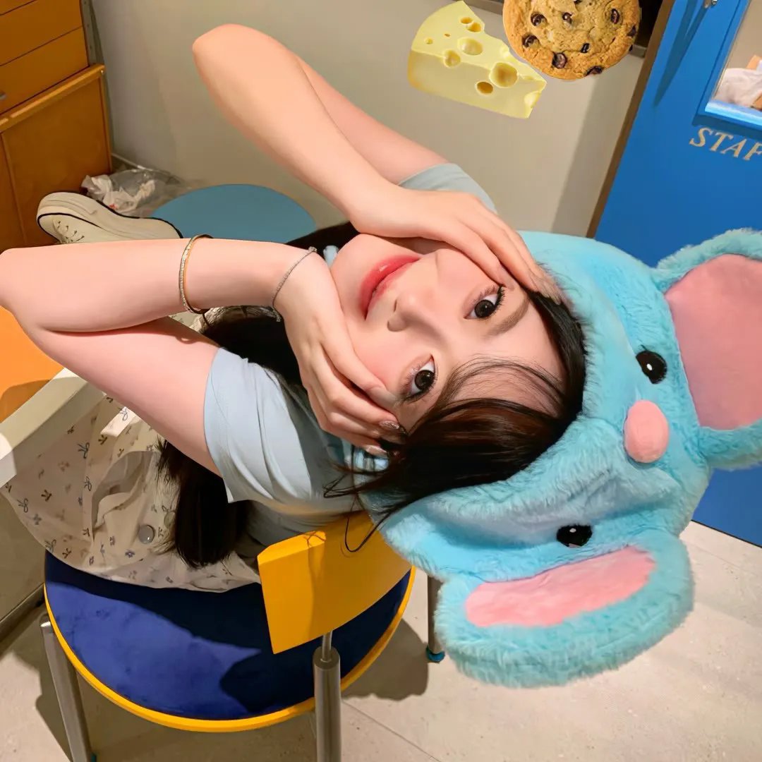 动物也疯狂